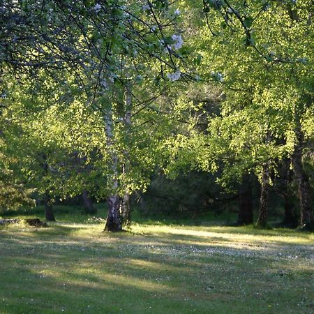 Les Charlotières Villa Chailles  Esterno foto