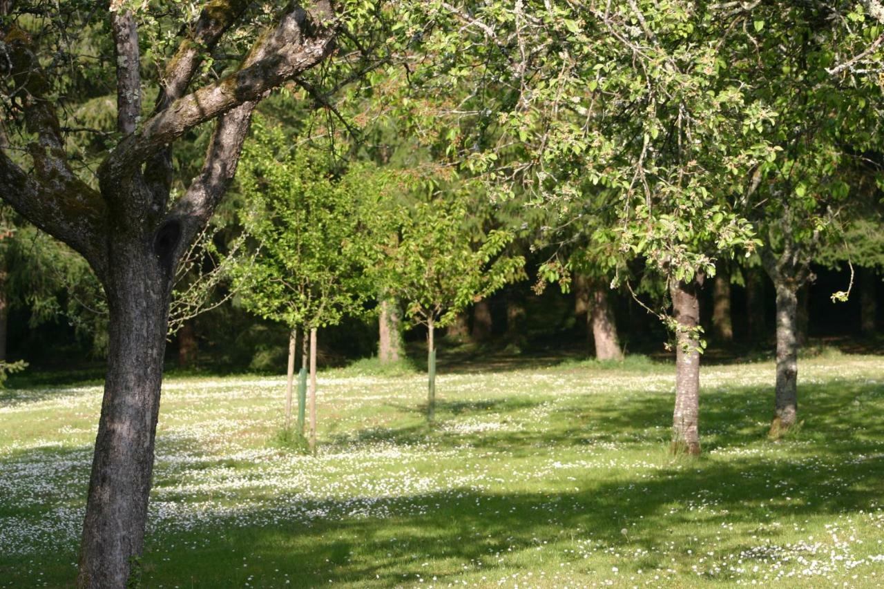 Les Charlotières Villa Chailles  Esterno foto